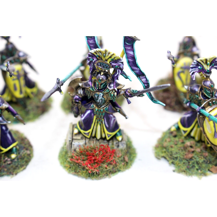 Warhammer High Elves Auralan Wardens Well Painted - JYS52 - Tistaminis