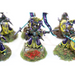 Warhammer High Elves Auralan Wardens Well Painted - JYS52 - Tistaminis