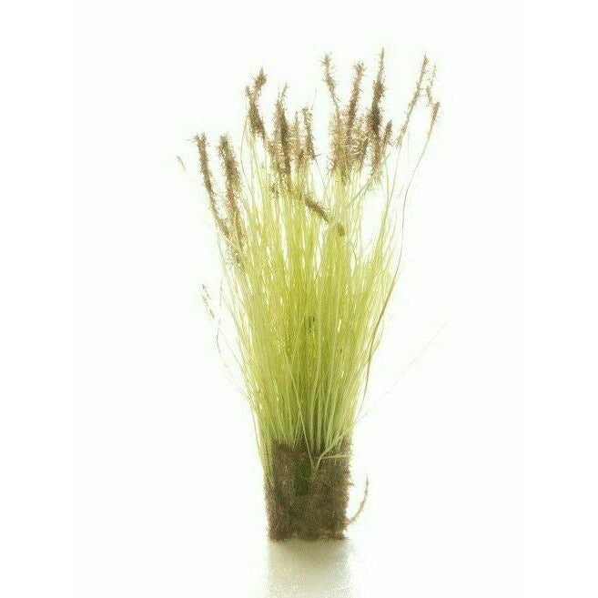 Woodland Scenics Grass Tufts Brown Tipped Prairie Grass New - TISTA MINIS