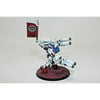 Warhammer Tau XV9 with Twin-linked Burst Cannon Well Painted | TISTAMINIS
