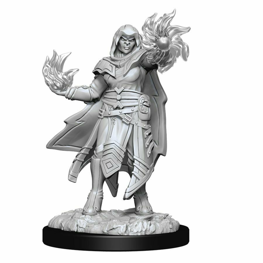 Dungeons and Dragons	Nolzur's Marvelous Miniatures: Wave 15: Hobgoblin Fighter M - Tistaminis