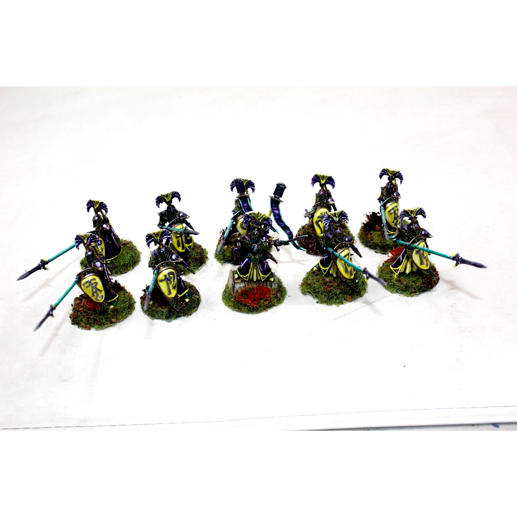 Warhammer High Elves Auralan Wardens Well Painted - JYS52 - Tistaminis