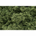 Woodland Scenics Foliage Cluster Light Green (45 Cu.In.) WOO57 - TISTA MINIS