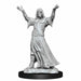 Dungeons and Dragons	WizKids Deep Cuts: Wave 15: Plague Doctory & Cultist New - Tistaminis