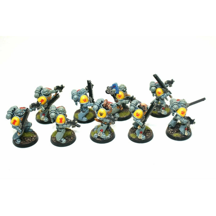 Warhammer Space Marines Space Wolves Tactical Squad Well Paitned A25 - Tistaminis