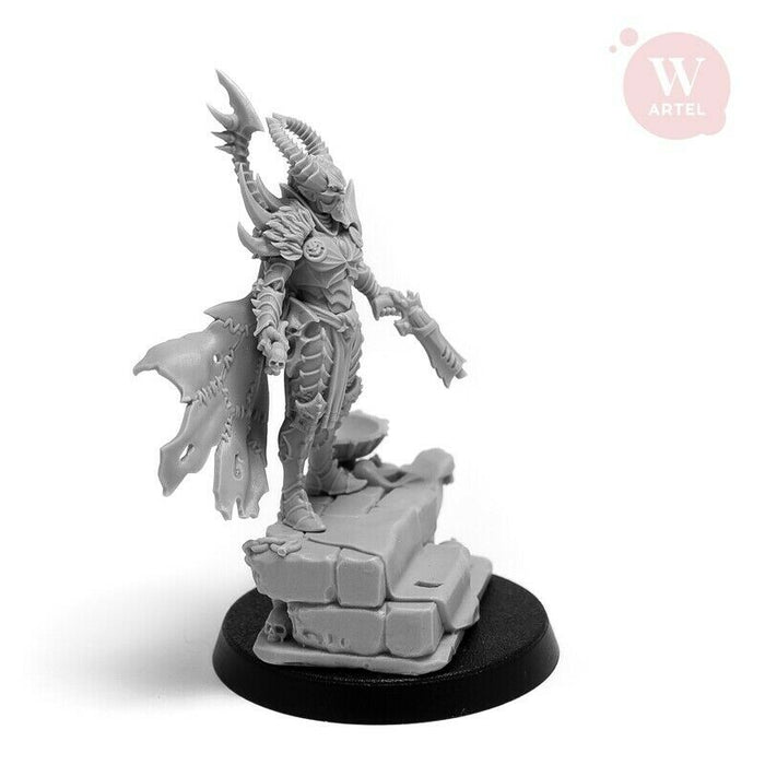 Artel Miniatures - Raidmaster 28mm (Single Figure - No Slaves) New - TISTA MINIS