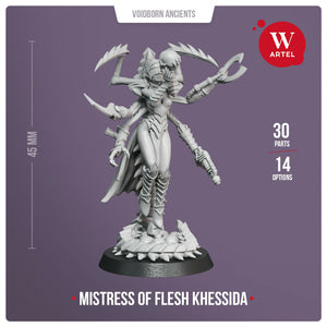 Artel Miniatures - Mistress of Flesh Khessida New - TISTA MINIS