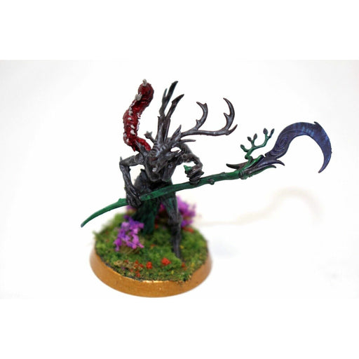 Warhammer Wood Elves Branchwych Well Painted - JYS30 - Tistaminis