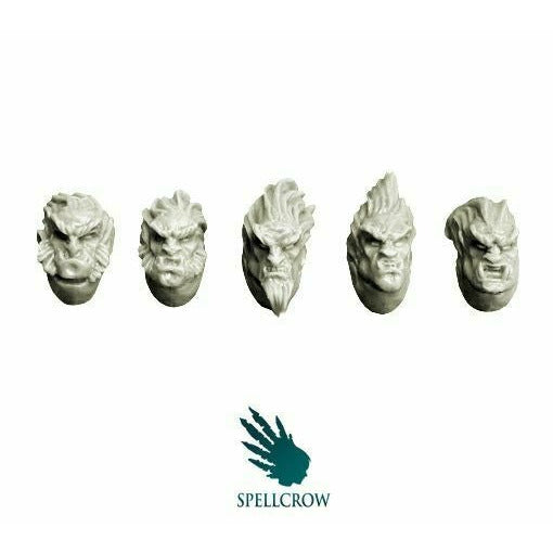 Spellcrow Wolves Knights Feral Heads - SPCB6011 - TISTA MINIS