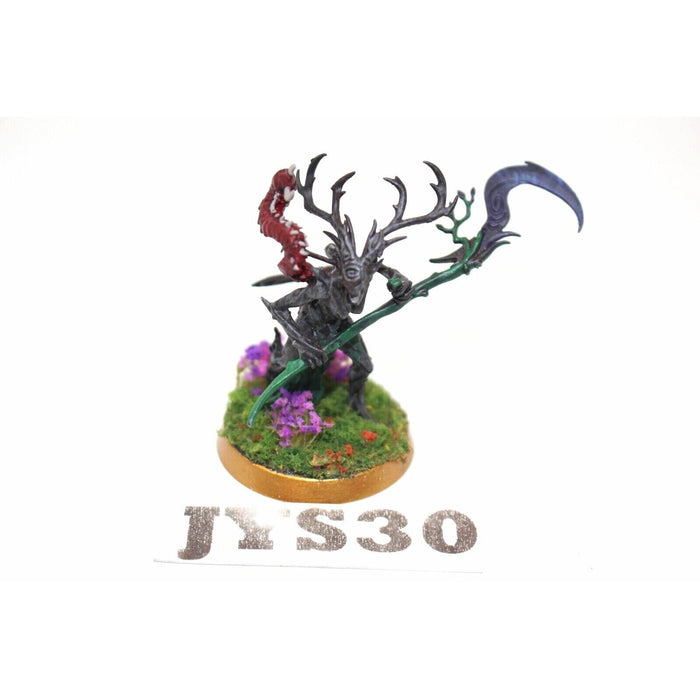 Warhammer Wood Elves Branchwych Well Painted - JYS30 - Tistaminis