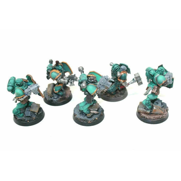 Warhammer Space Marines Sternguard Veterans Well Painted Custom - JYS97 - TISTA MINIS