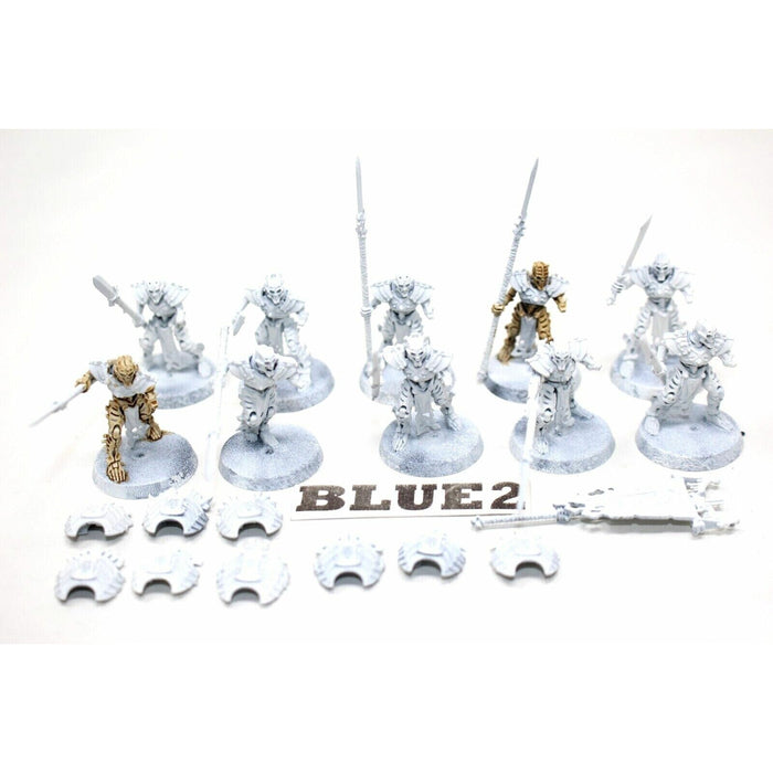 Warhammer Vampire Counts Mortek Guard With Spears - Blue2 - Tistaminis