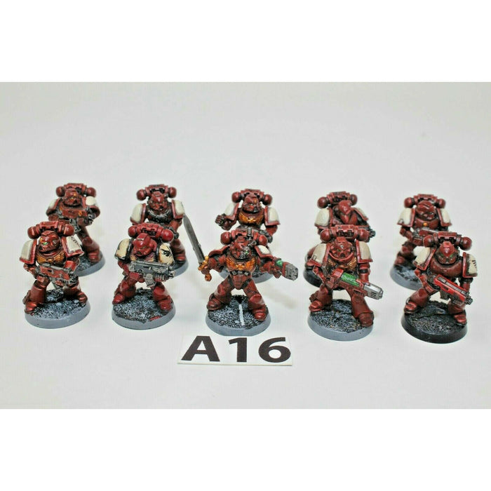 Warhammer Space Marines Tactical Squad Well Painted - A16 | TISTAMINIS