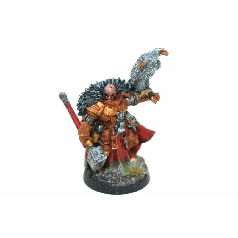 Warhammer Inquisition Inquisitor Coteaz Well Painted - TISTA MINIS