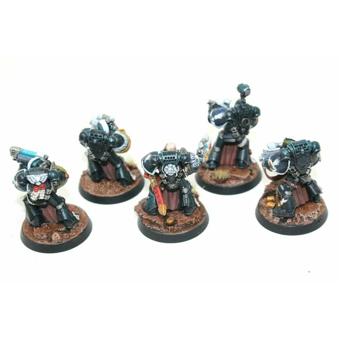 Warhammer Space Marines Sternguard Veterans Well Painted - JYS94 - TISTA MINIS