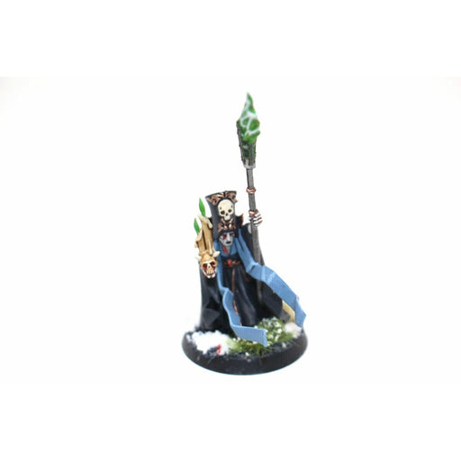 Warhammer Empire Mage Well Painted - JYS13 - Tistaminis