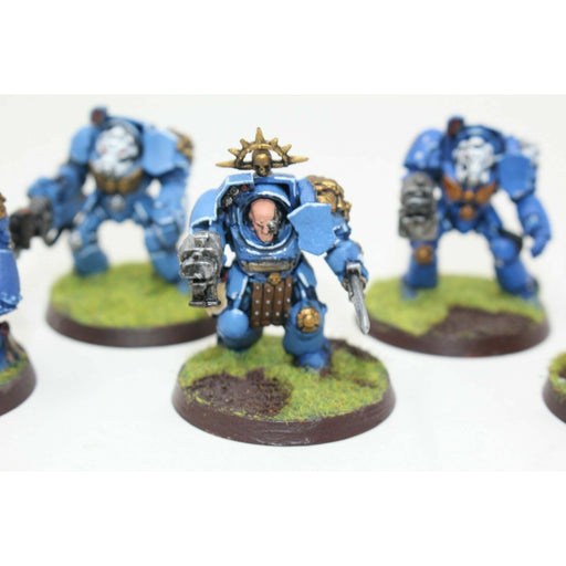 Warhammer Space Marines Terminators Well Painted - JYS95 | TISTAMINIS