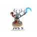 Warhammer Wood Elves Branchwych Well Painted JYS5 - Tistaminis