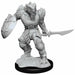 Dungeons and Dragons	Nolzur's Marvelous Miniatures: Wave 15: Dragonborn Fighter - Tistaminis