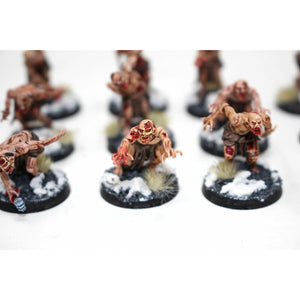 Warhammer Vampire Counts Zombies Well Painted - JYS14 - Tistaminis