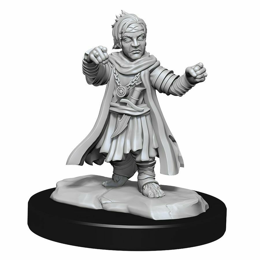 Dungeons and Dragons	Pathfinder Deep Cuts: Wave 15: Halfing Monk Male New - Tistaminis