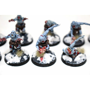Warhammer Vampire Counts Zombies Well Painted - JYS98 - Tistaminis