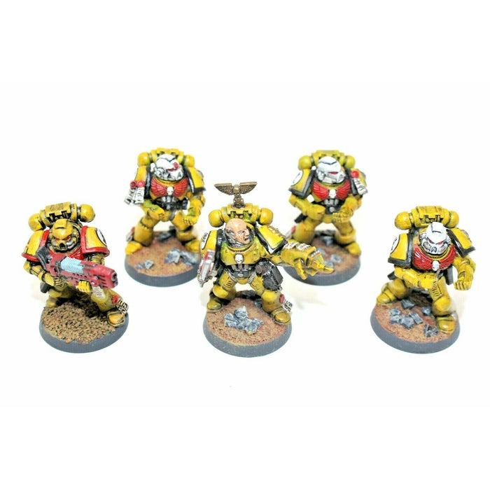 Warhammer Space Marines Sternguard Veterans Well Painted Incompelte JYS26 - Tistaminis