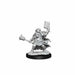 Dungeons and Dragons	Frameworks: Dwarf Cleric Female New - Tistaminis