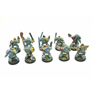 Warhammer Space Marines Space Wolves Tactical Squad Well Paitned A25 - Tistaminis
