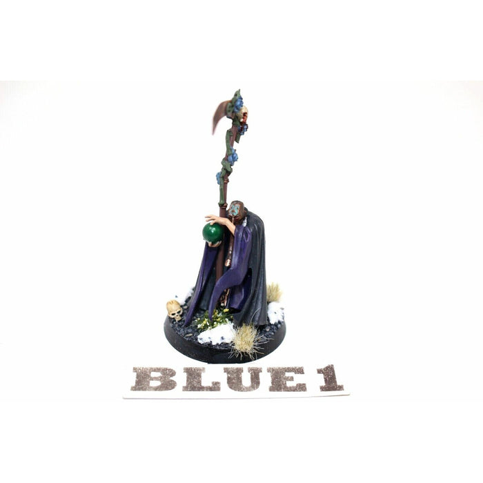 Warhammer Empire Mage Well Painted - Blue1 - Tistaminis