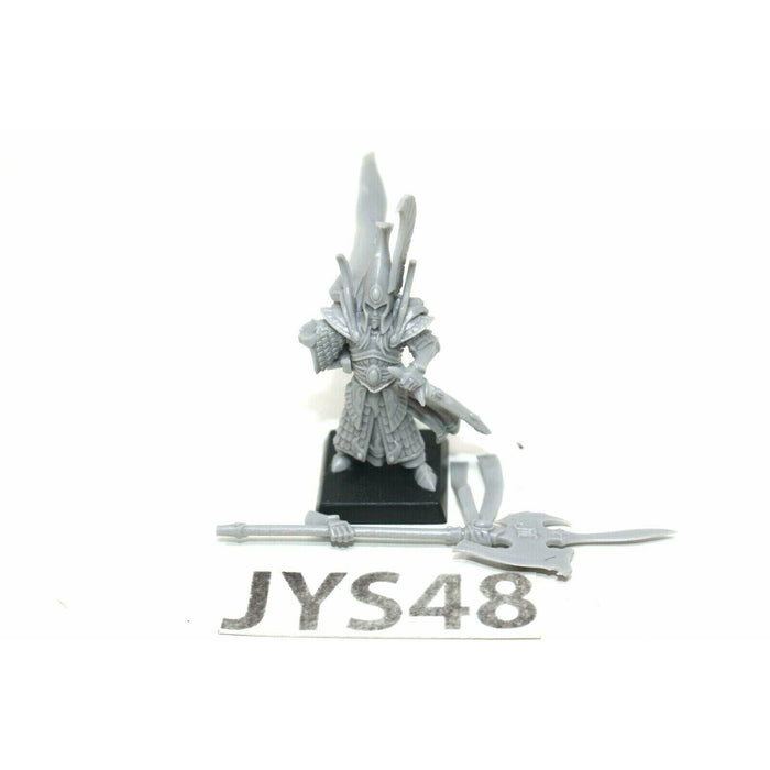 Warhammer High Elves Caradryan - JYS48 - TISTA MINIS