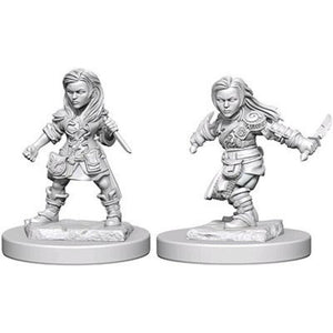 Dungeons and Dragons Nolzurs Marvelous  Wave 1: Halfling Female Rogue New - TISTA MINIS