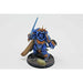 Warhammer Space Marine Primarius Captain Well Painted | TISTAMINIS