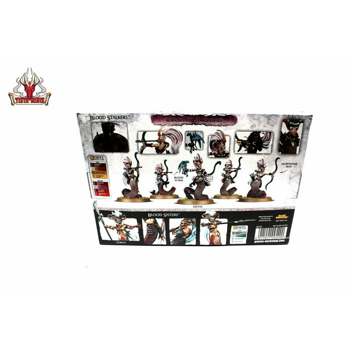 Warhammer Dark Elves Daughters of Khaine Melusai New - TISTA MINIS