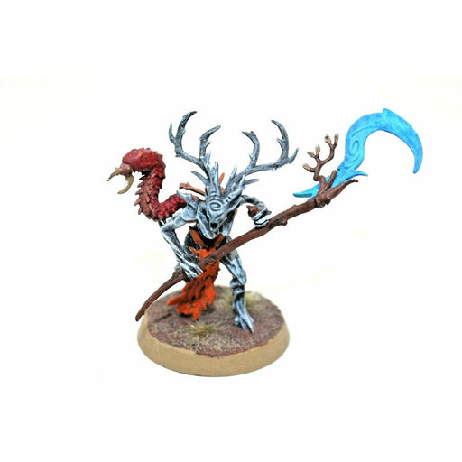 Warhammer Wood Elves Branchwych Well Painted JYS5 - Tistaminis