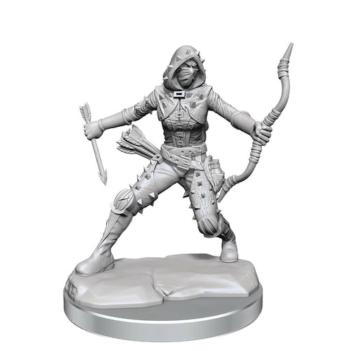 Dungeons and Dragons Frameworks: Human Rogue Female New - Tistaminis