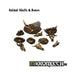 Kromlech	Animal Skulls & Bones (11) New - Tistaminis