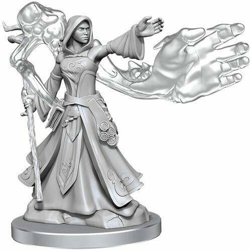 Dungeons and Dragons Frameworks: Elf Wizard Female New - Tistaminis