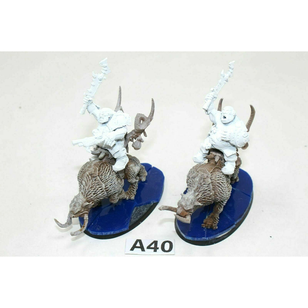 Warhammer Ogre Kingdoms Mournfang Calvery A40 - Tistaminis