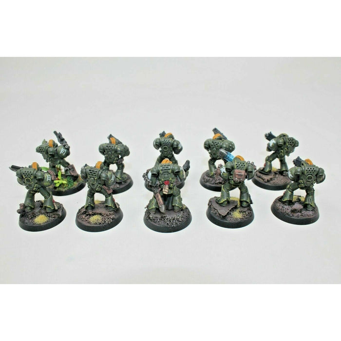 Warhammer Space Marines Tactical Squad Well Painted - JYS41 | TISTAMINIS