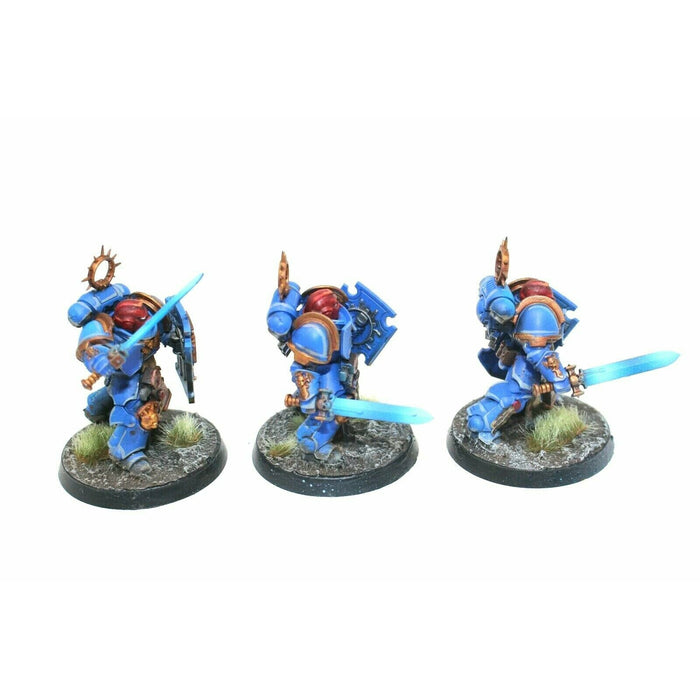 Warhammer Space Marines Bladeguard Veterans Well Painted - TISTA MINIS