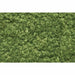 Woodland Scenics Foliage Net-Light Green (60 Sq.In.) WOO51 - TISTA MINIS