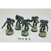 Warhammer Space Marines Assault Marine Squad Well Painted - JYS83 | TISTAMINIS