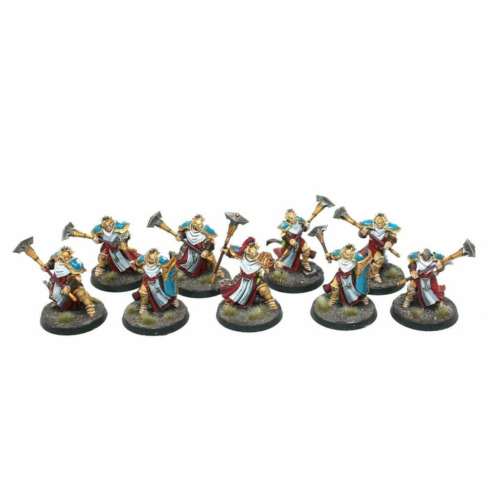 Warhammer Stormcast Eternals Sequitors Well Painted - JYS13 - TISTA MINIS