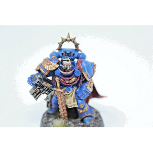 Warhammer Space Marine Limited Edition Captain Well Painted | TISTAMINIS