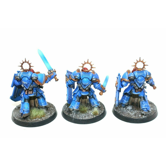 Warhammer Space Marines Bladeguard Veterans Well Painted - TISTA MINIS