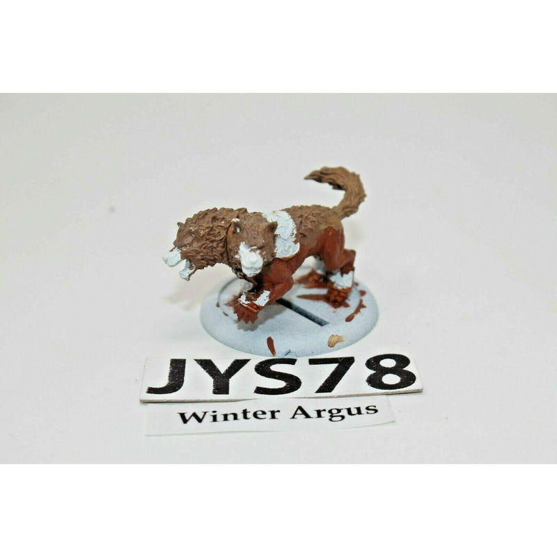 Warmachine And Hordes Winter Argus - JYS78 | TISTAMINIS