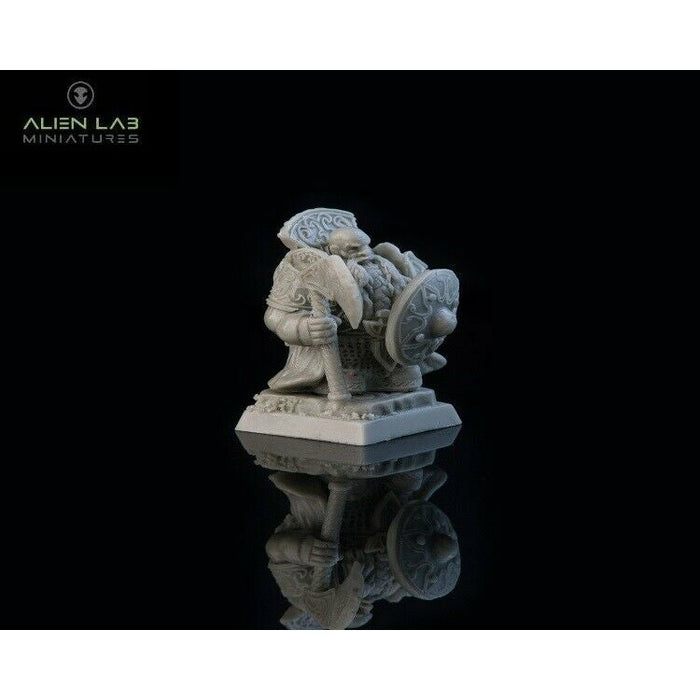 Alien Lab Miniatures 28MM DWARF LORD BORIN New - Tistaminis