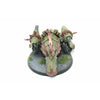 Warhammer Chaos Space Marines Blight Hauler Well Painted A21 - Tistaminis
