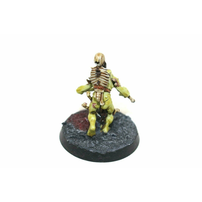 Warhammer Vampire Counts  Crypt Ghast Courtier Well Painted - A6 - Tistaminis